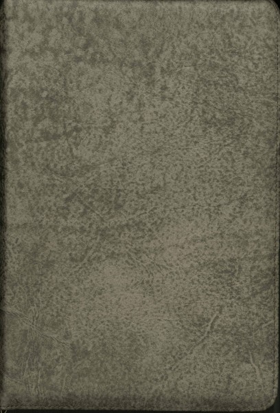 Elberfelder Standardbibel -Leder (braun-grau meliert), Goldschnitt, Reißverschluss